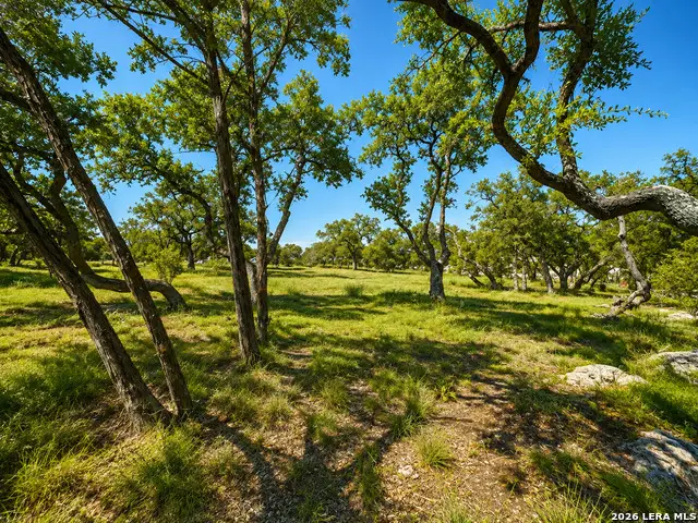 335 Serenity Pass, Spring Branch, TX 78070 - #3
