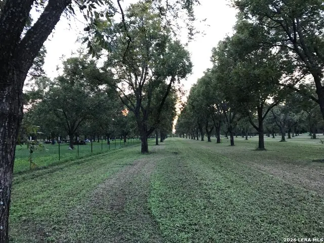 TBD May Road, Quemado, TX 78877 - #3