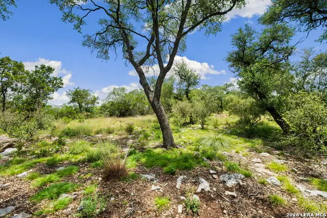 1772 Demi John Bend, Canyon Lake, TX 78133 - #2