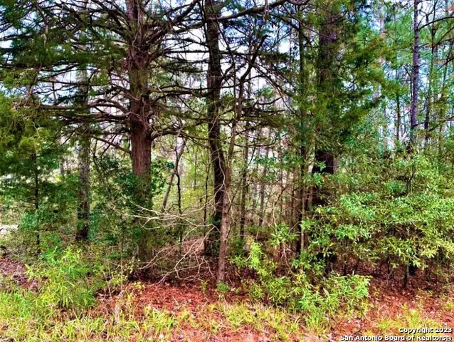 00 Sir Robert Burns, Woodville, TX 75979 - #1