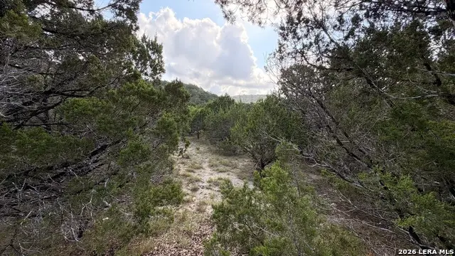 1086 Trail Pass, Canyon Lake, TX 78133 - #3