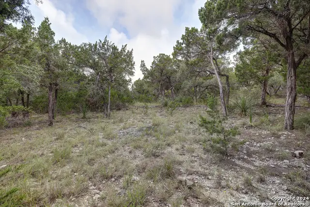 11411 Anaqua Spgs, Boerne, TX 78006 - #2