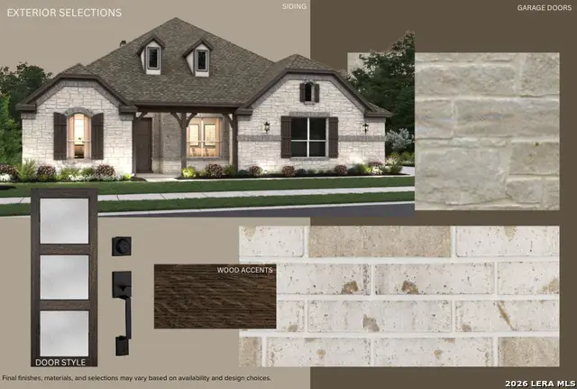 1146 Cape May Warbler, New Braunfels, TX 78132 - #3
