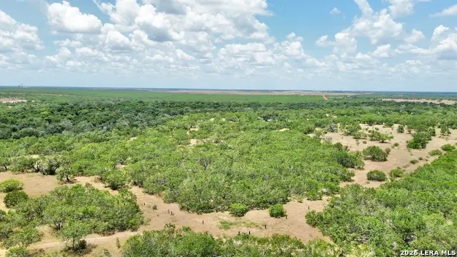 24.52 Acres On Campbell Blvd, Campbellton, TX 78008 - #3