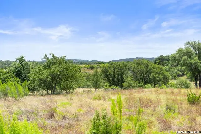 207 Verbena Ct, Johnson City, TX 78636 - #1