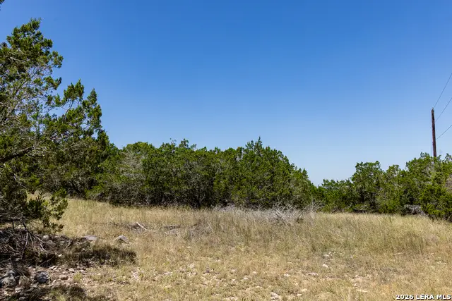 165 Cherry Springs Rd, Hunt, TX 78024 - #3