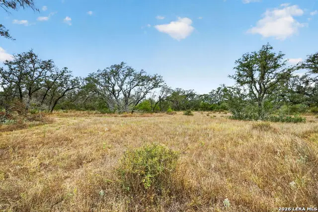 8651 W Fm 476, Poteet, TX 78065 - #2