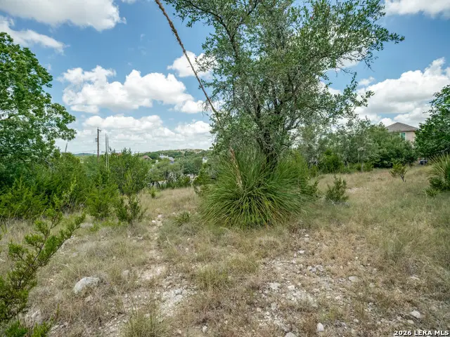 25402 Singing Rain, San Antonio, TX 78260 - #3
