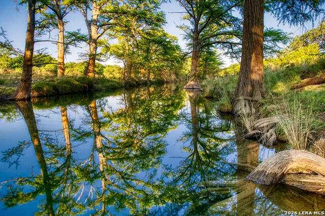 166 Cypress Falls Rd, Utopia, TX 78884 - #3