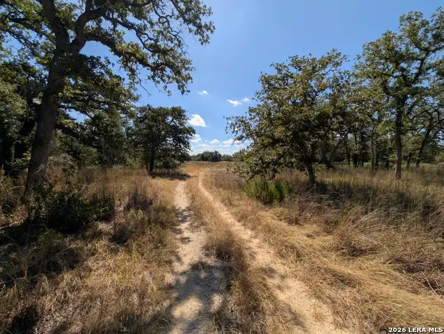 2404 County Road 320, Floresville, TX 78114 - #2
