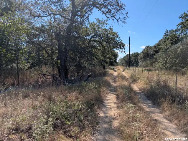 2404 County Road 320, Floresville, TX 78114 - #3