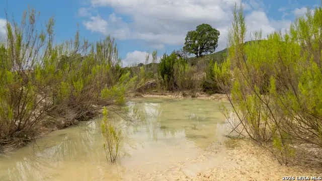 900 Lehmann Dr, Center Point, TX 78010 - #3