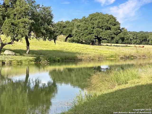 TBD-LOT 42 Blackbuck, Pipe Creek, TX 78063 - #3
