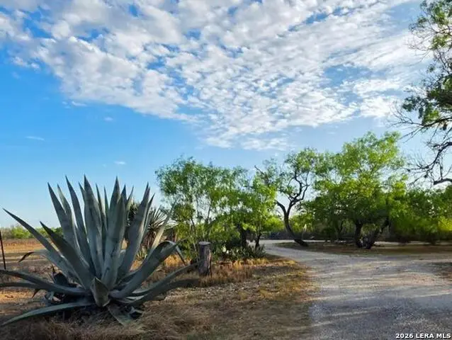 4029 County Road 117, Floresville, TX 78114 - #1