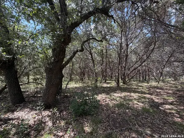 180 Rosenberry, Bulverde, TX 78163