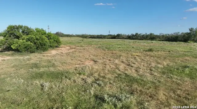 463 W Gates Valley Rd Lot 7, Poteet, TX 78065 - #2