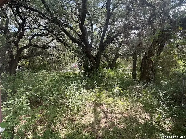 2711 Ray Lieck, San Antonio, TX 78253 - #1