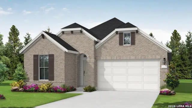 863 Pincushion Ln, New Braunfels, TX 78130 - #3