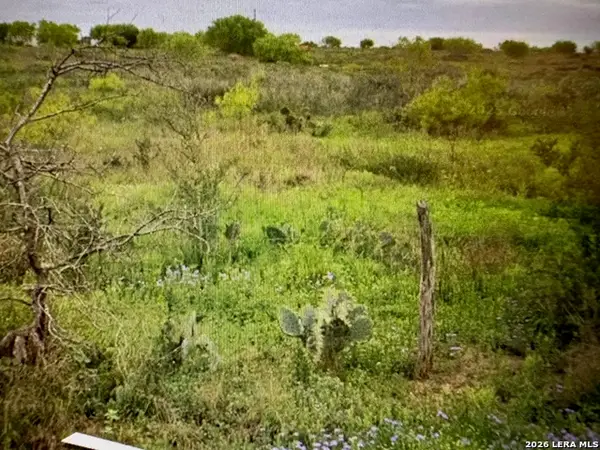 1849/1909 Strawberry City, Poteet, TX 78065