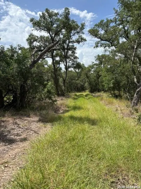 LOT 37 Pr 2532, Mico, TX 78056 - #3