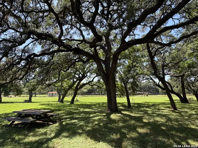 174 River Haven Rd, Utopia, TX 78884 - #3