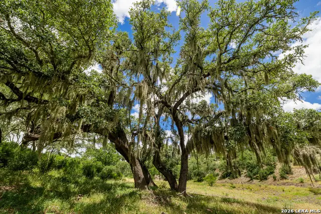 0007 Hidden Springs Ranch, Spring Branch, TX 78070 - #1