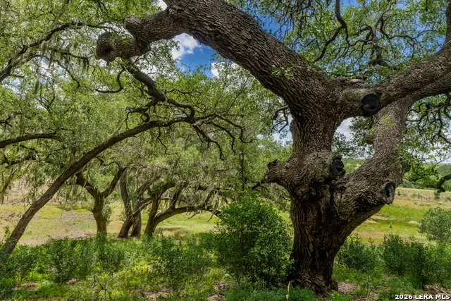 0007 Hidden Springs Ranch, Spring Branch, TX 78070 - #2