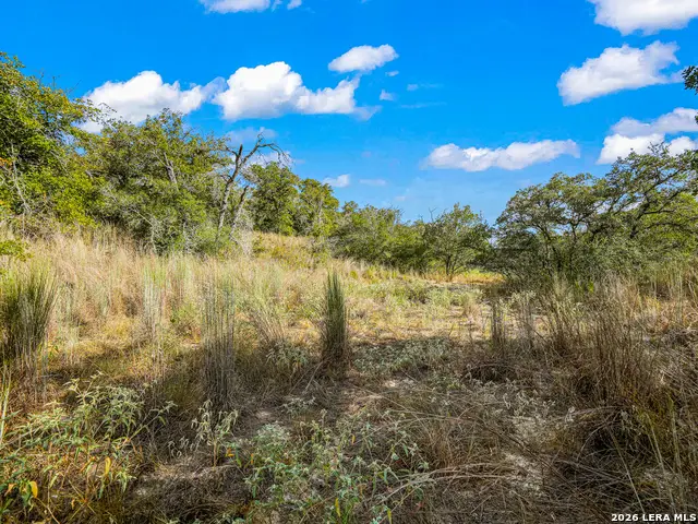 12180 Fm 1117, Seguin, TX 78155 - #1