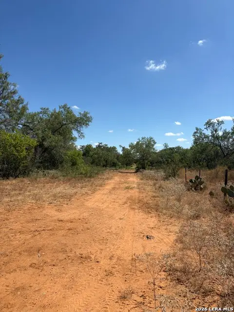 314 County Road, Bigfoot, TX 78005 - #3