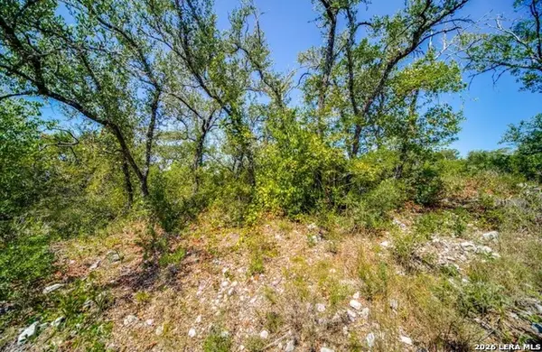 10026 Ivory Cyn, San Antonio, TX 78255