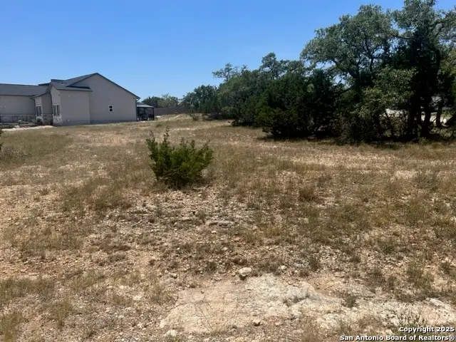 118 S Calvin Barrett, Blanco, TX 78606 - #2