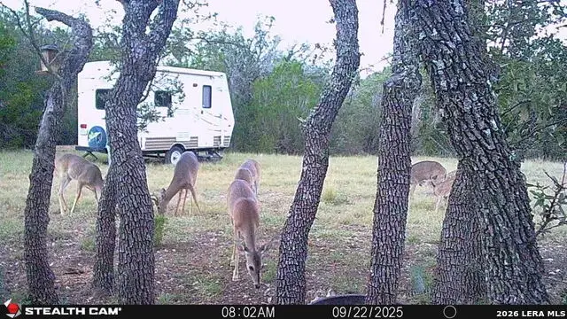 TBD Sd 74100, Rocksprings, TX 78880 - #2
