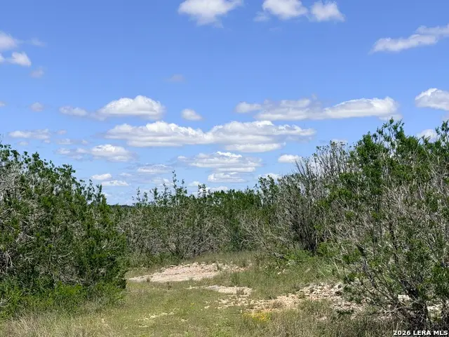 4807 County Road 429, Uvalde, TX 78801 - #3