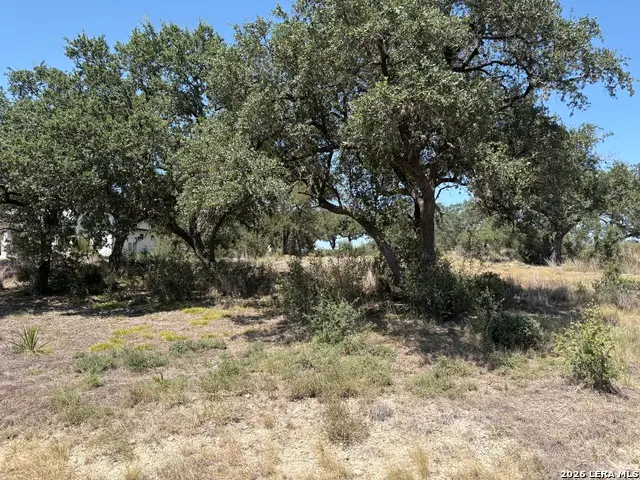 531 (LOT 1737) Arthur Ct, Spring Branch, TX 78070 - #2
