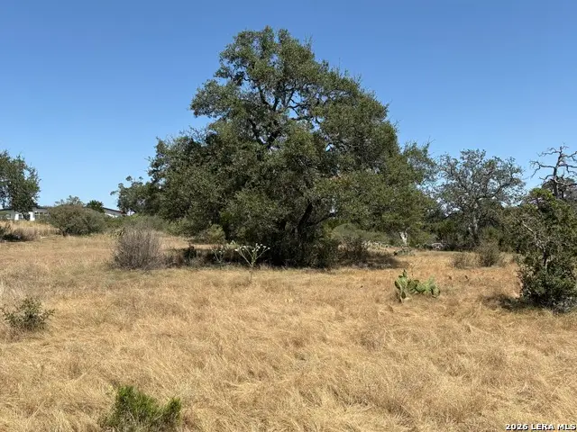 531 (LOT 1737) Arthur Ct, Spring Branch, TX 78070 - #3