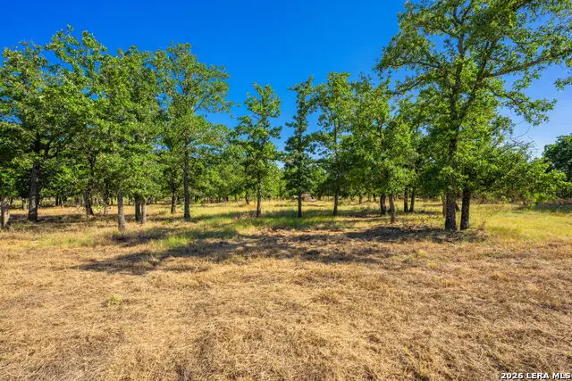 560 Mystic Oaks Trail, Fredericksburg, TX 78624 - #1