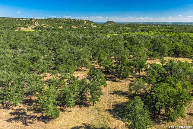 560 Mystic Oaks Trail, Fredericksburg, TX 78624 - #2
