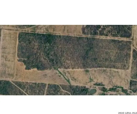 00-00 Fm 472, Bigfoot, TX 78005 - #3