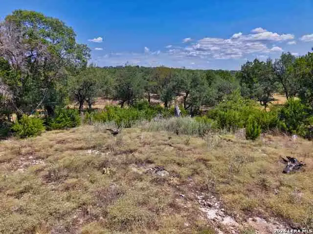 559 Clay Rdg, Canyon Lake, TX 78133 - #1