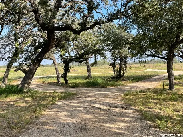 369 County Road 331, Floresville, TX 78114 - #2