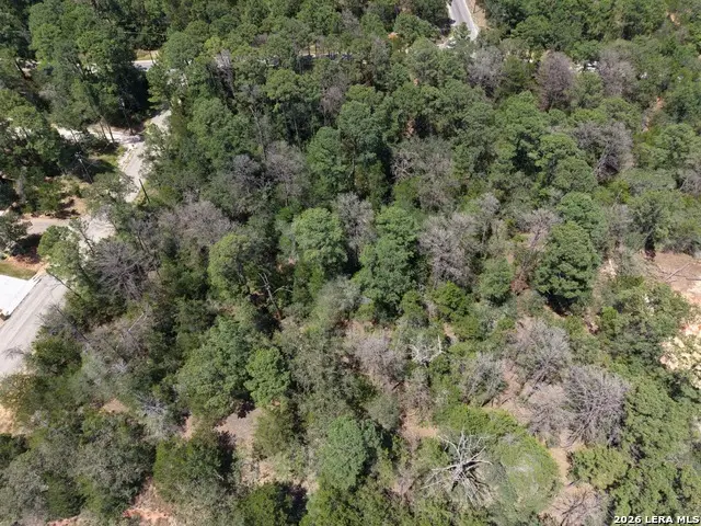 127 & 133 Lamaloa Ln, Bastrop, TX 78602 - #3