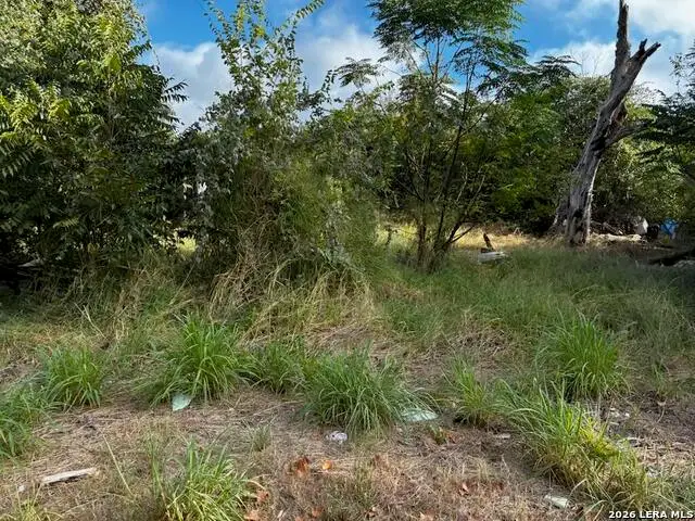 4245 Lonesome, Von Ormy, TX 78073 - #3