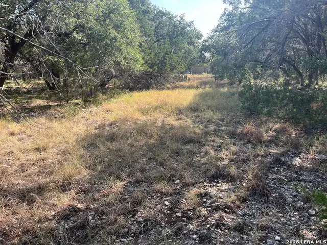TBD Lakepark, Lakehills, TX 78063 - #2