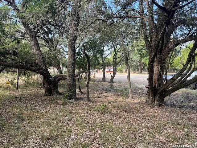 TBD Lakepark, Lakehills, TX 78063 - #3