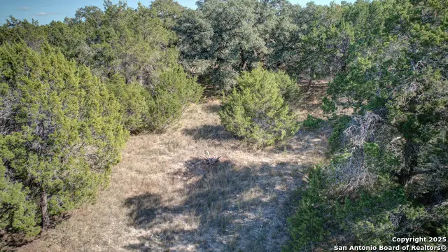 915 Five Oaks Cir, Canyon Lake, TX 78133 - #2
