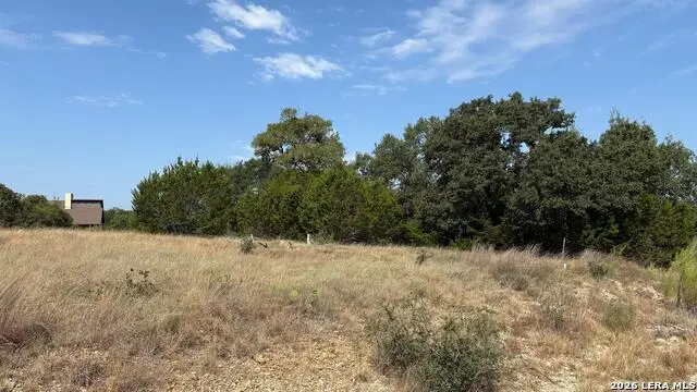 106 Lewis Todd, Blanco, TX 78606 - #2