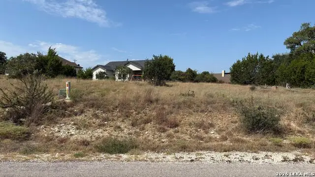 106 Lewis Todd, Blanco, TX 78606 - #3