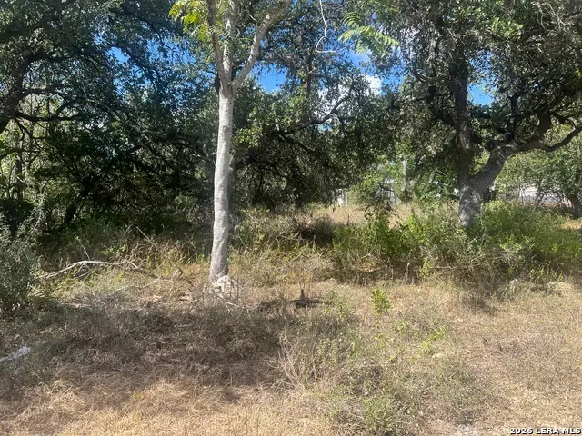 542/558 Flintstone, Canyon Lake, TX 78133 - #2