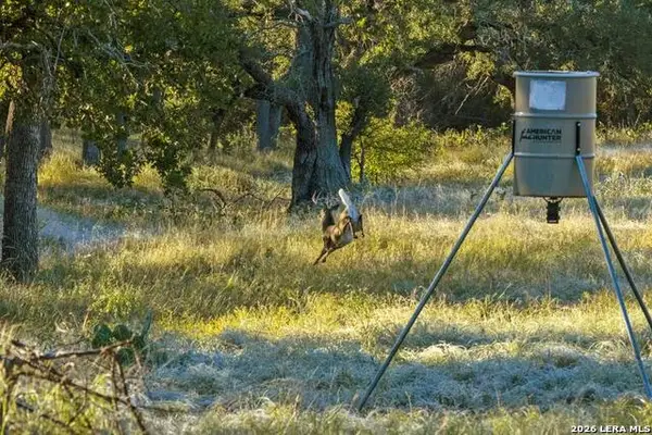 307 Gold Schaefer Rd, Fredericksburg, TX 78624