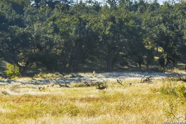 307 Gold Schaefer Rd, Fredericksburg, TX 78624 - #3